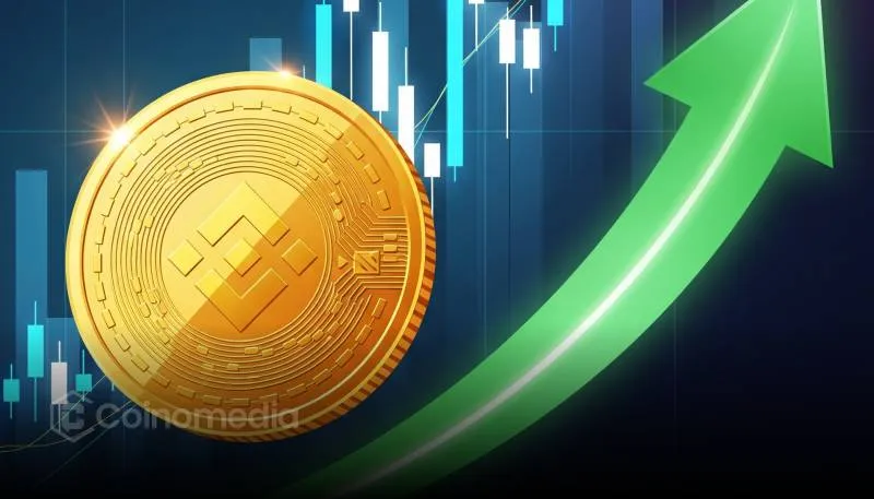 BNB به رکورد جدید نزدیک به ۹۹۰ دلار رسید