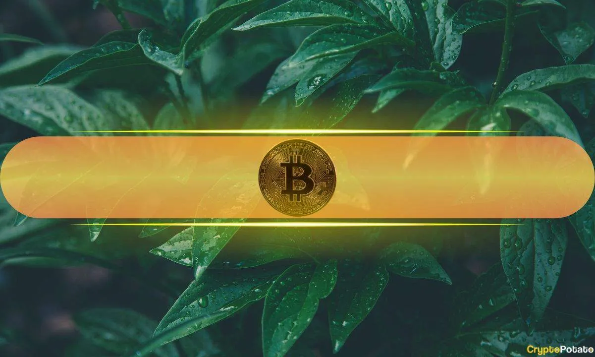 بیت‌کوین,قیمت بیت‌کوین,مذاکرات تجاری,آمریکا و چین,روند صعودی