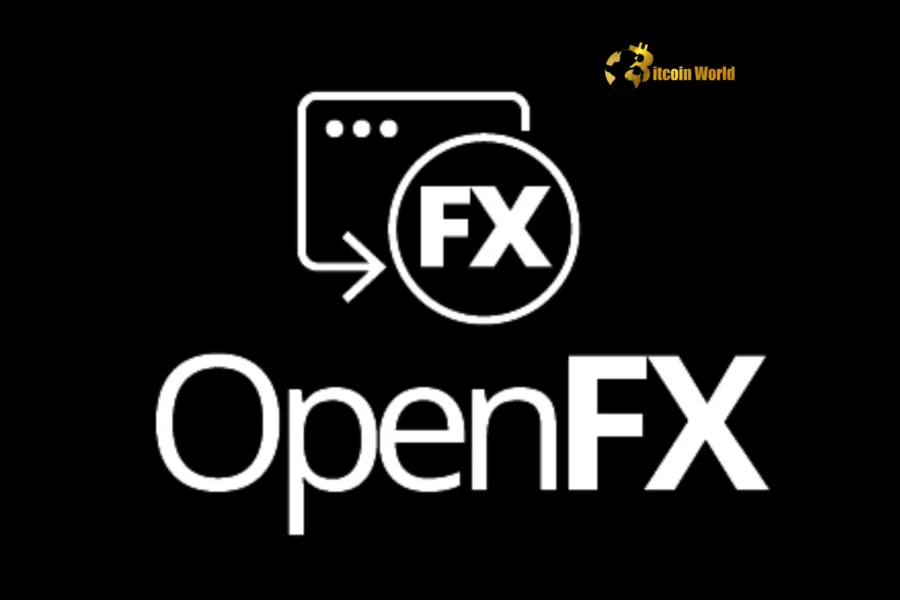 OpenFX,استیبل‌کوین,پرداخت بین‌المللی,سرمایه‌گذاری,رمزارز