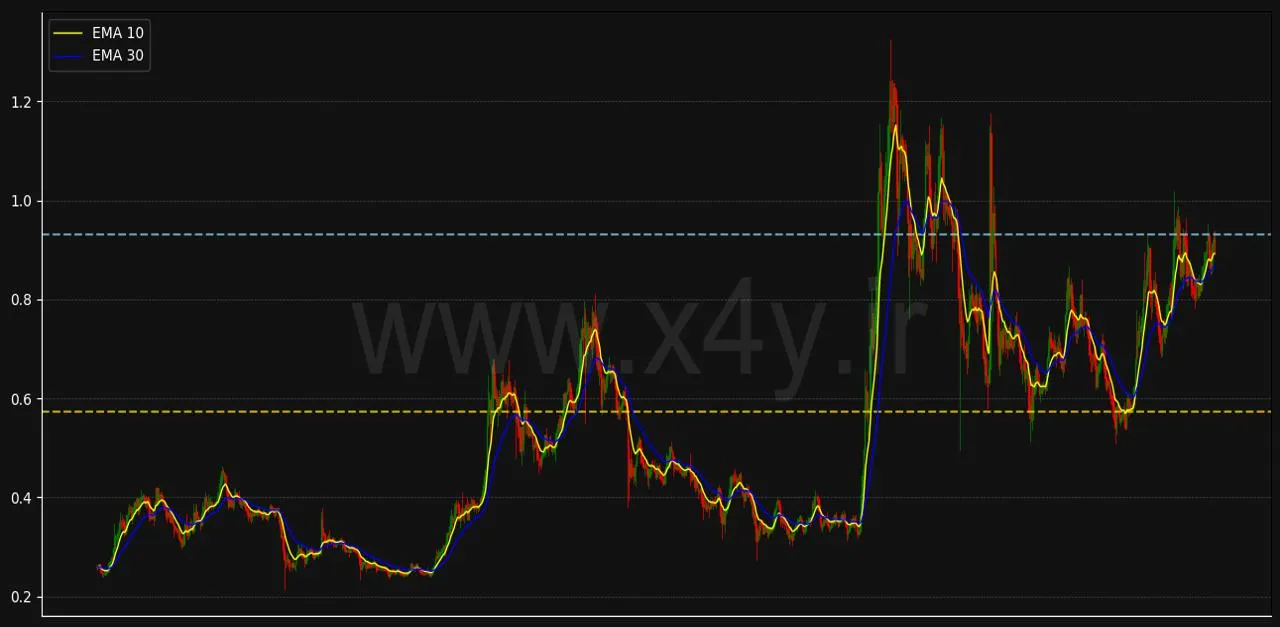 ابزار X4Y و تحلیل دقیق نمودار کاردانو cardano