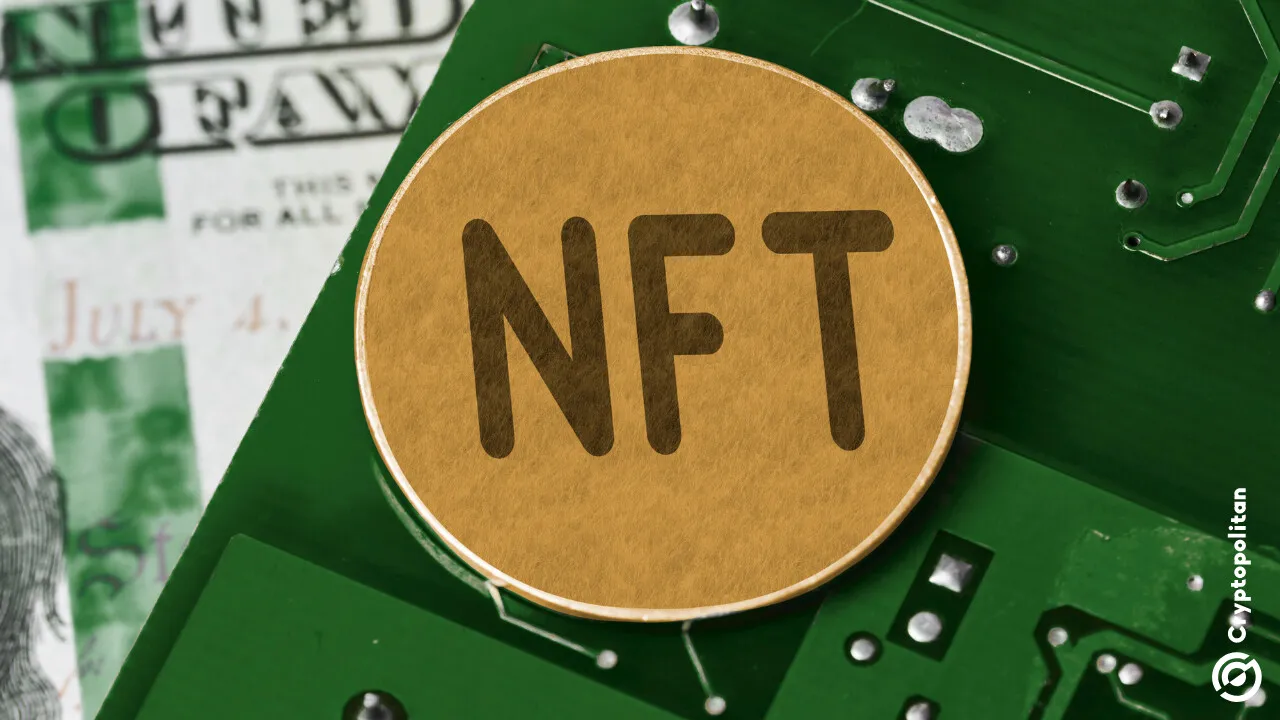 مک‌گرگور, خبیب, NFT, کلاهبرداری, پاپاخا