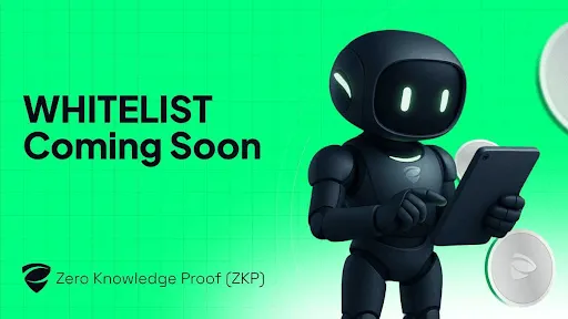 پشت صحنه هیجان: چرا لیست سفید Zero Knowledge Proof (ZKP) محبوب شده است؟